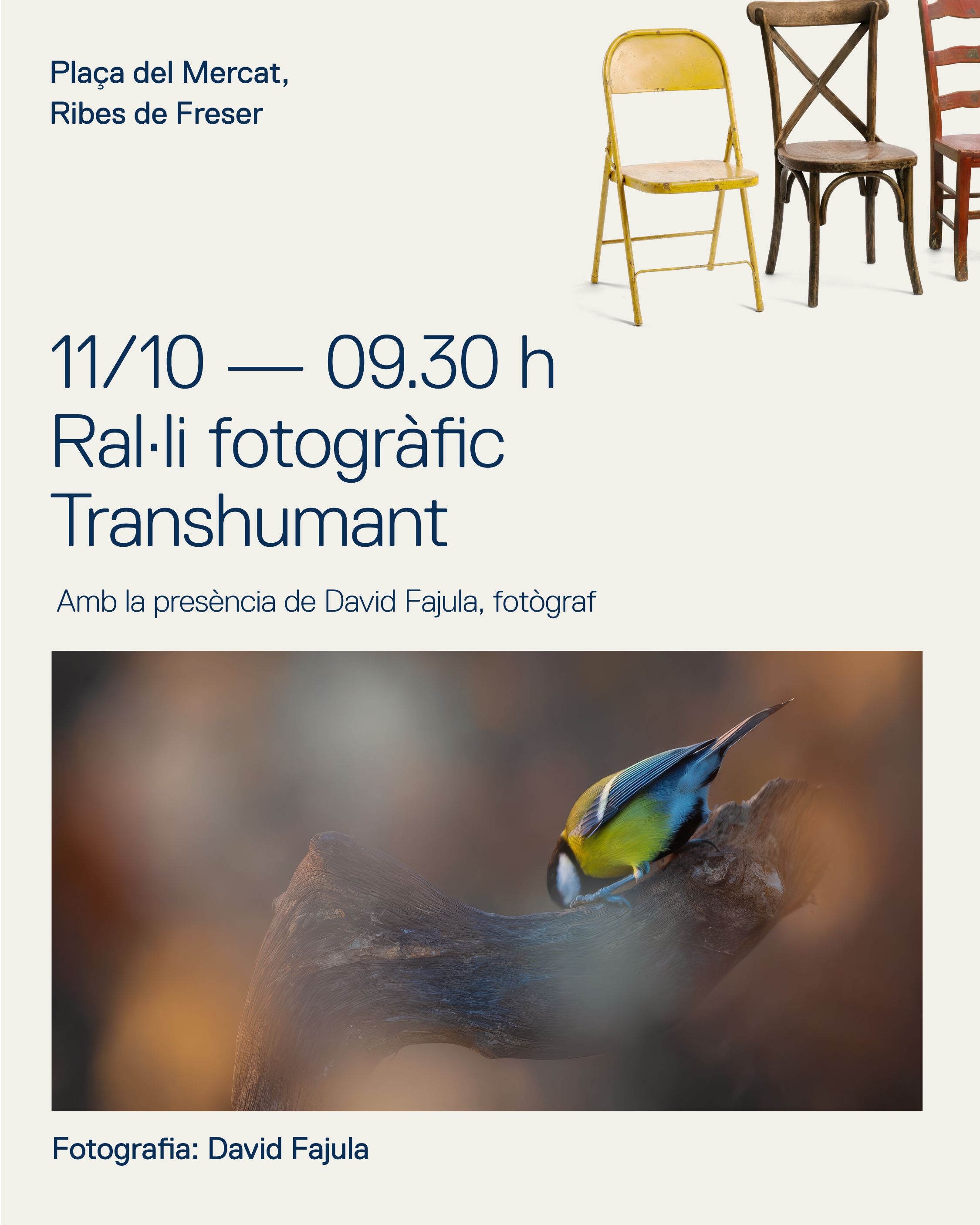 BASES RAL·LI FOTOGRÀFIC TRANSHUMANT FESTIVAL